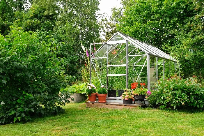Gewächshaus im Garten